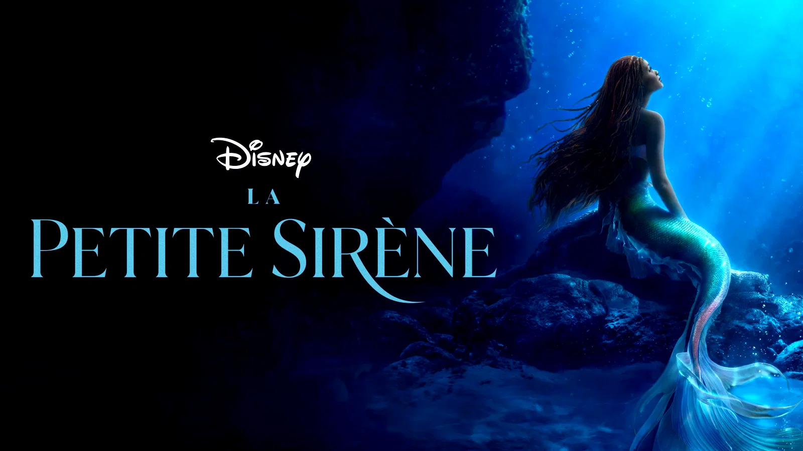 Photo 1 du film : La Petite Sirène