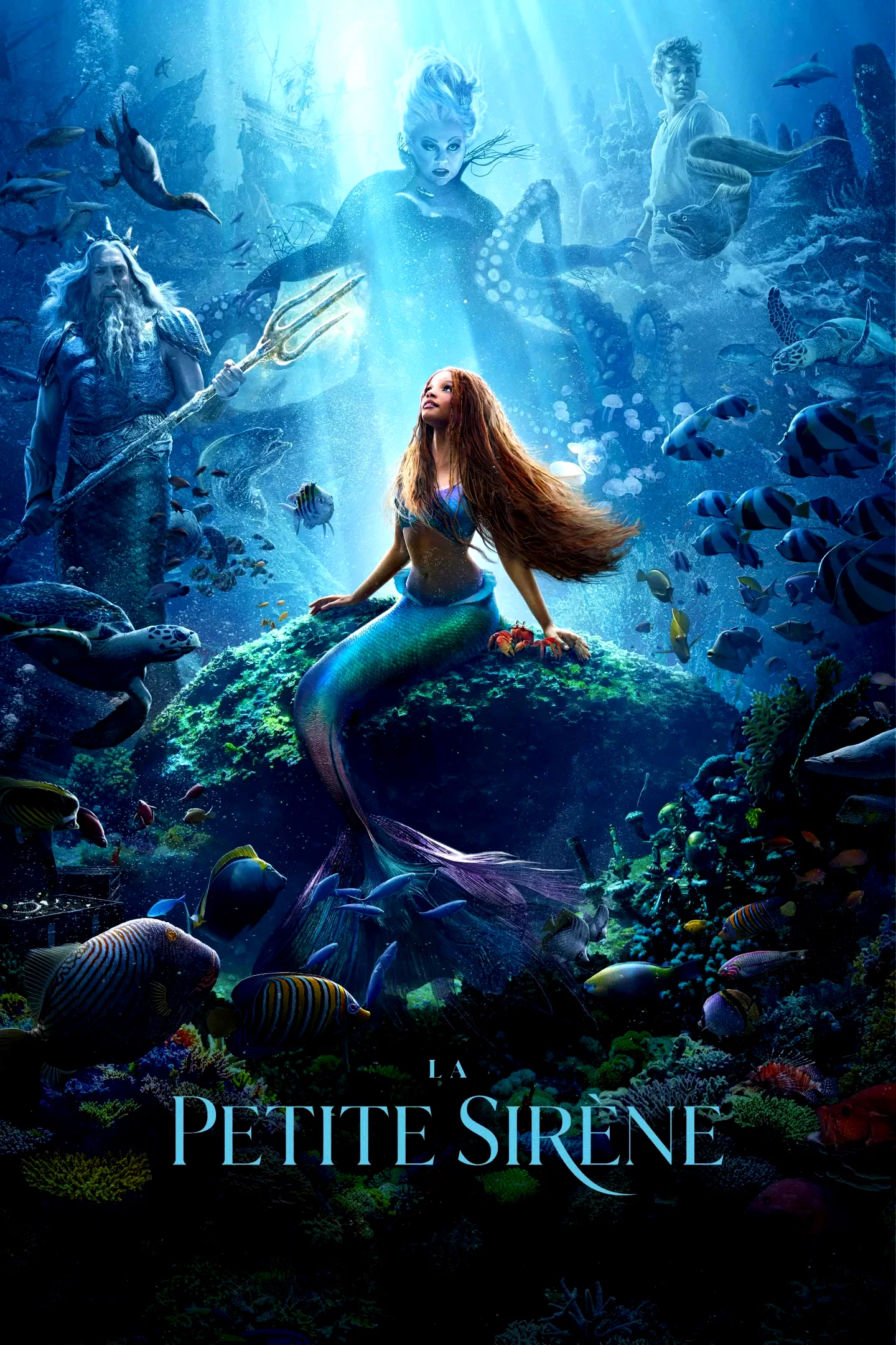 Affiche du film : La Petite Sirène