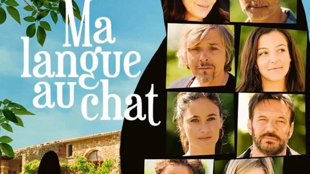 Affiche du film : Ma langue au chat