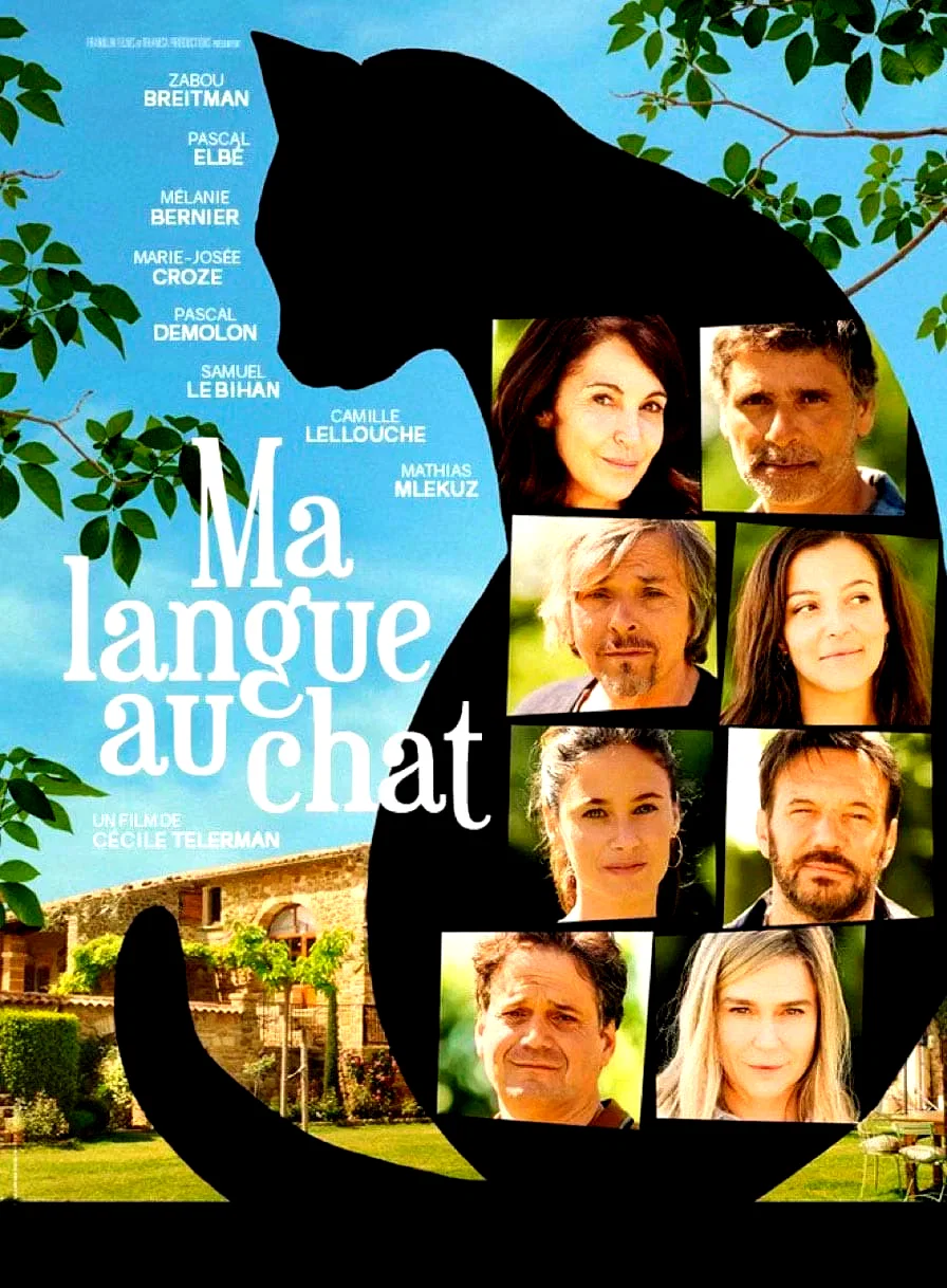 Affiche du film : Ma langue au chat