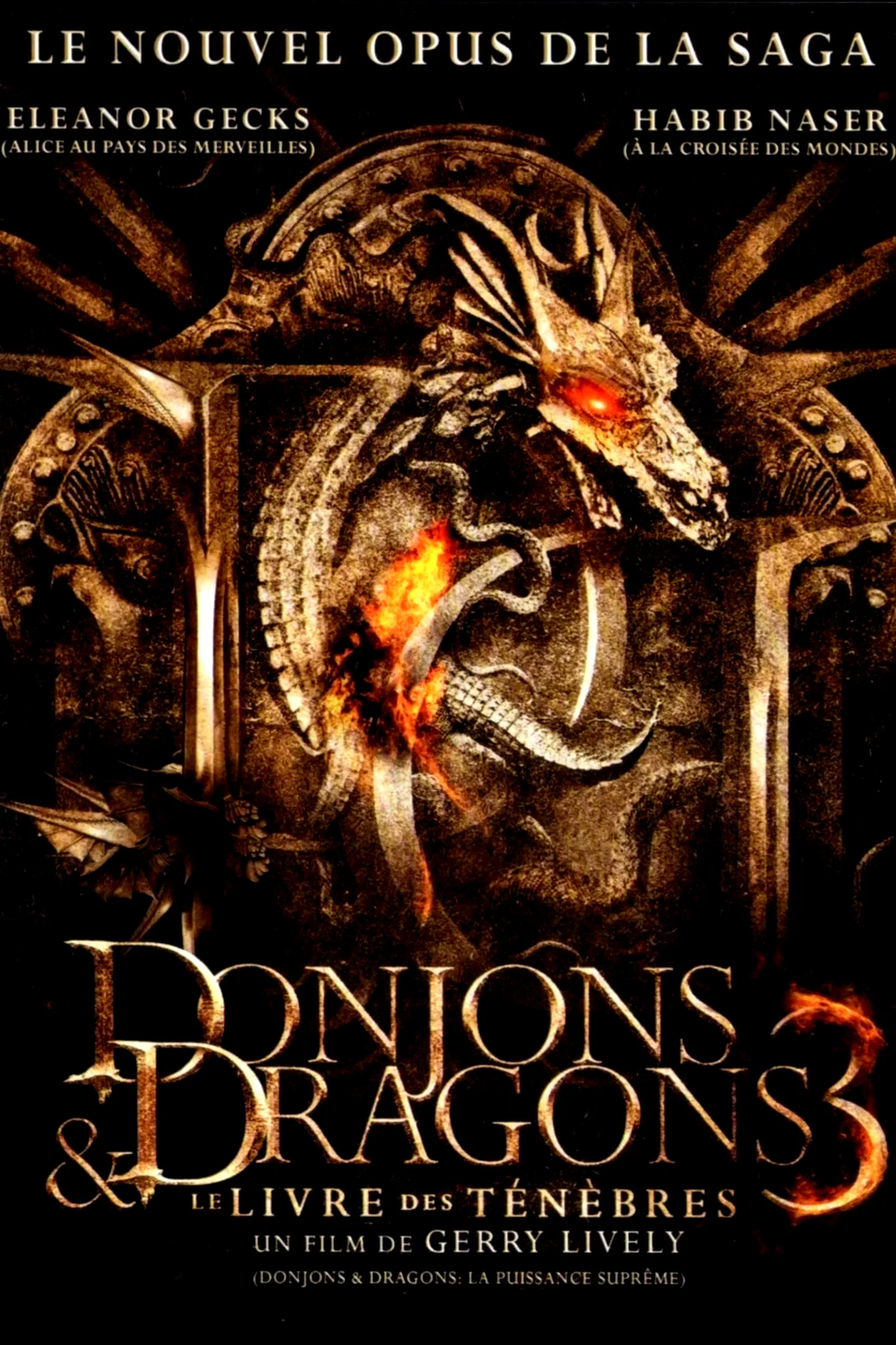 Photo du film : Donjons & Dragons 3 : Le Livre des ténèbres