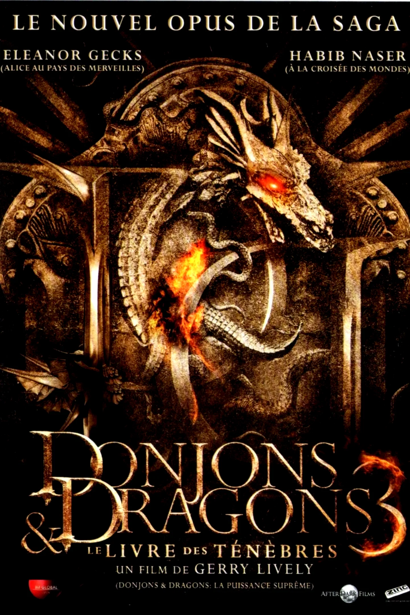 Photo du film : Donjons & Dragons 3 : Le Livre des ténèbres