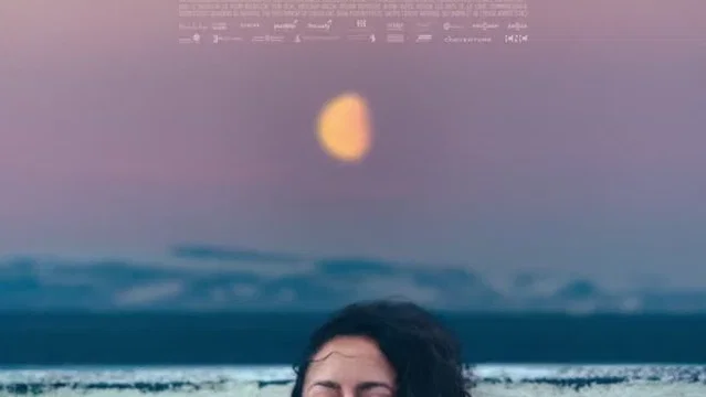 Affiche du film : Polaris