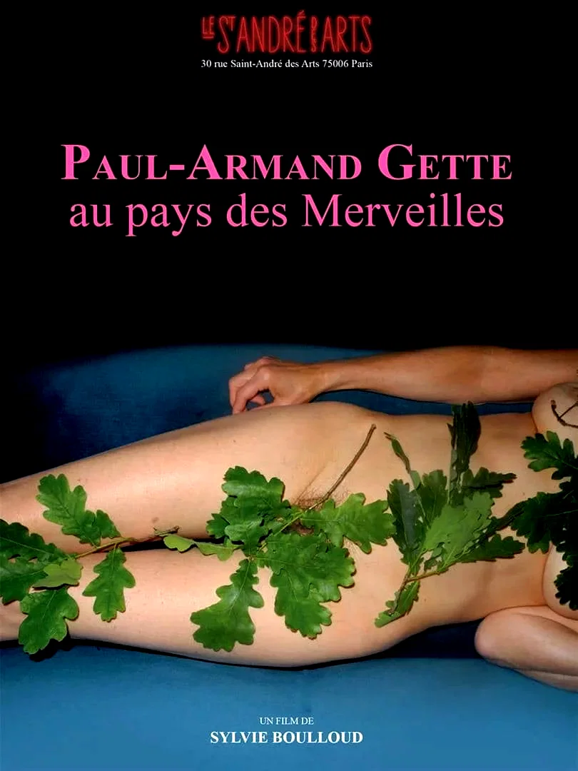 Affiche du film : Paul-Armand Gette au pays des merveilles
