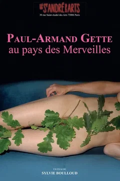 Affiche du film Paul-Armand Gette au pays des merveilles