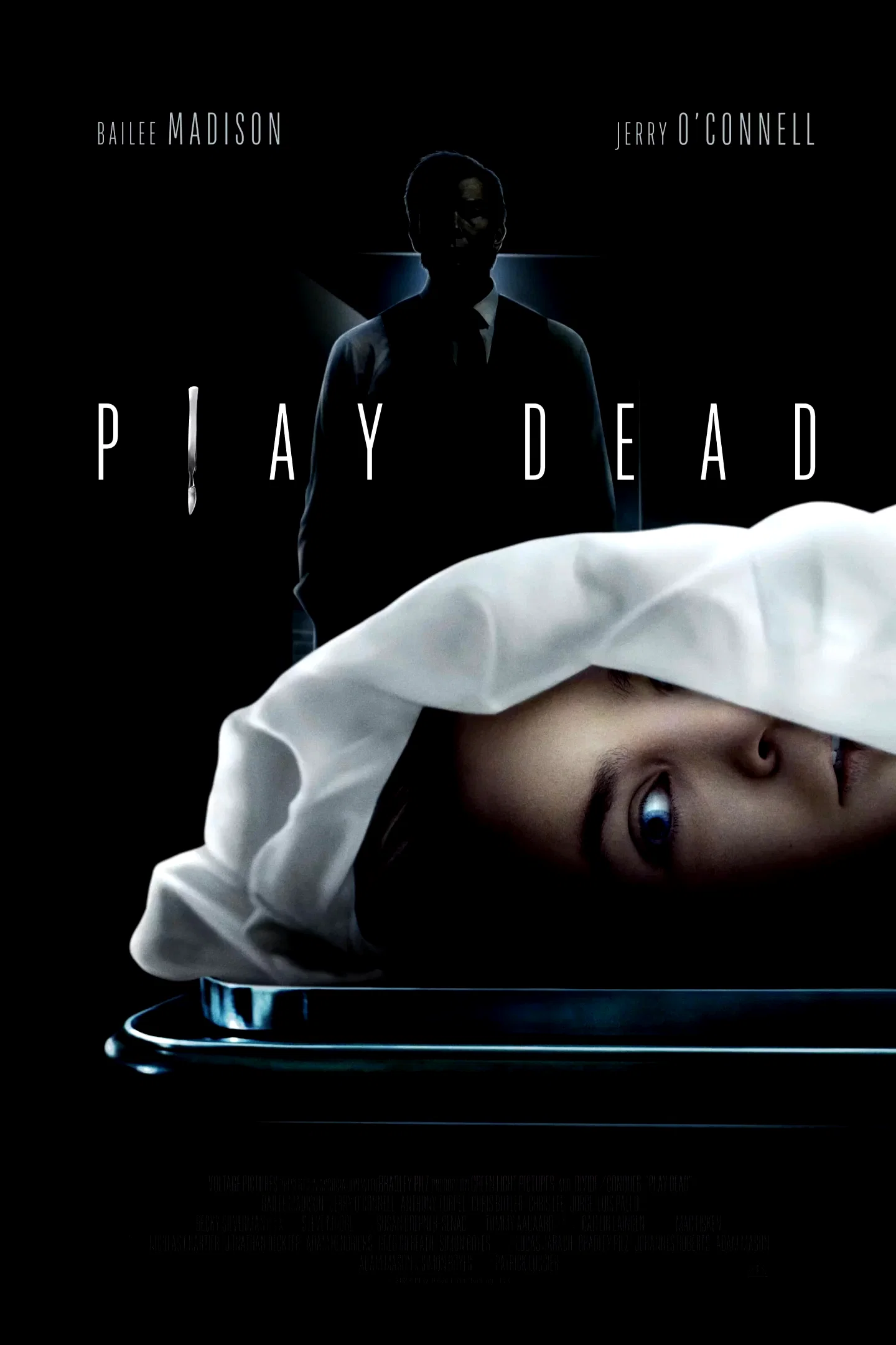 Affiche du film : Play Dead