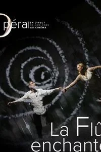 Affiche du film = La Flûte enchantée (Metropolitan Opera)