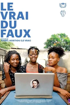 Affiche du film Le vrai du faux