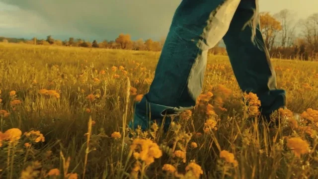 Photo 2 du film : BLUEGUM
