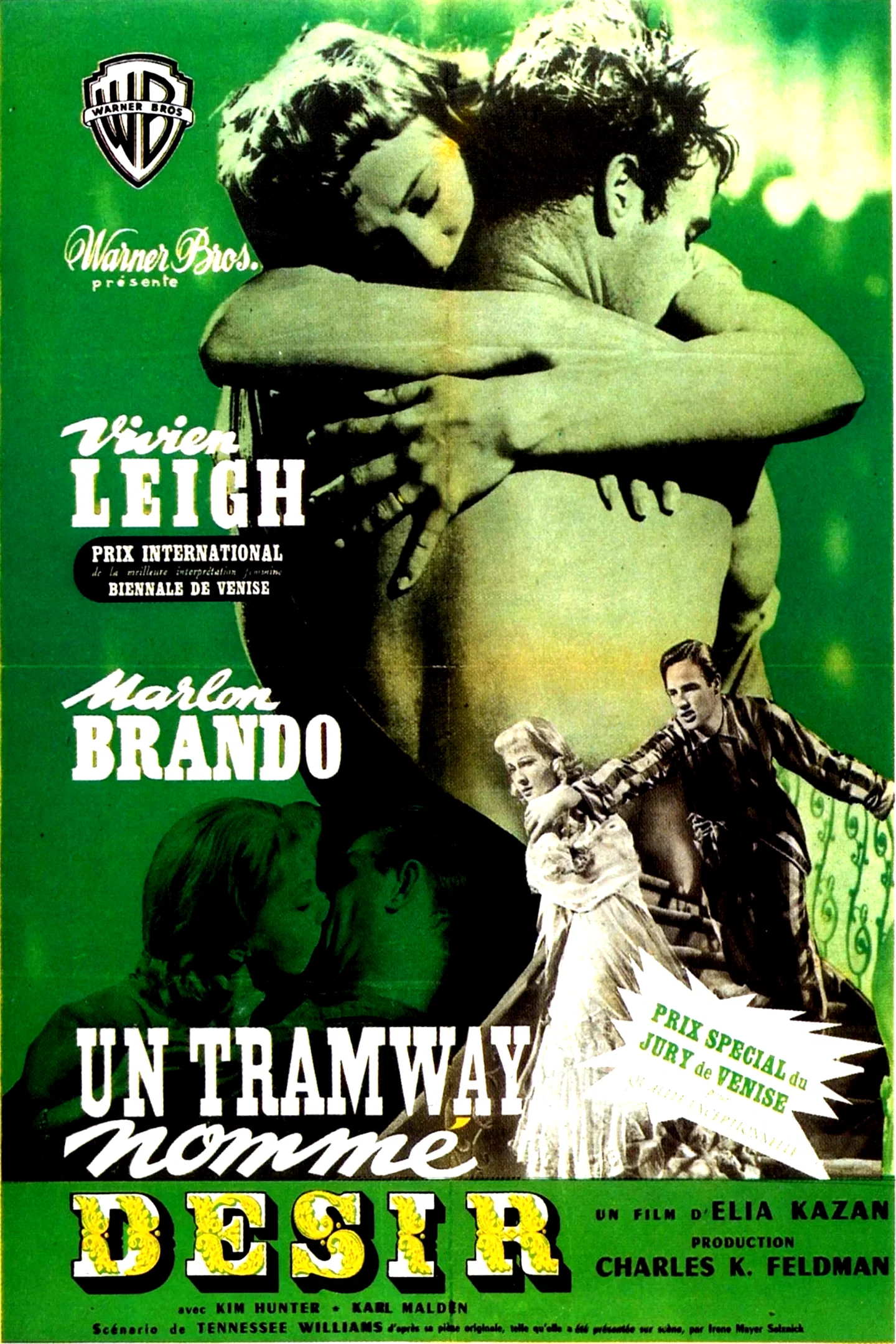 Affiche du film : Un tramway nommé désir