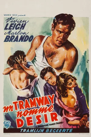 Photo 3 du film : Un tramway nommé désir