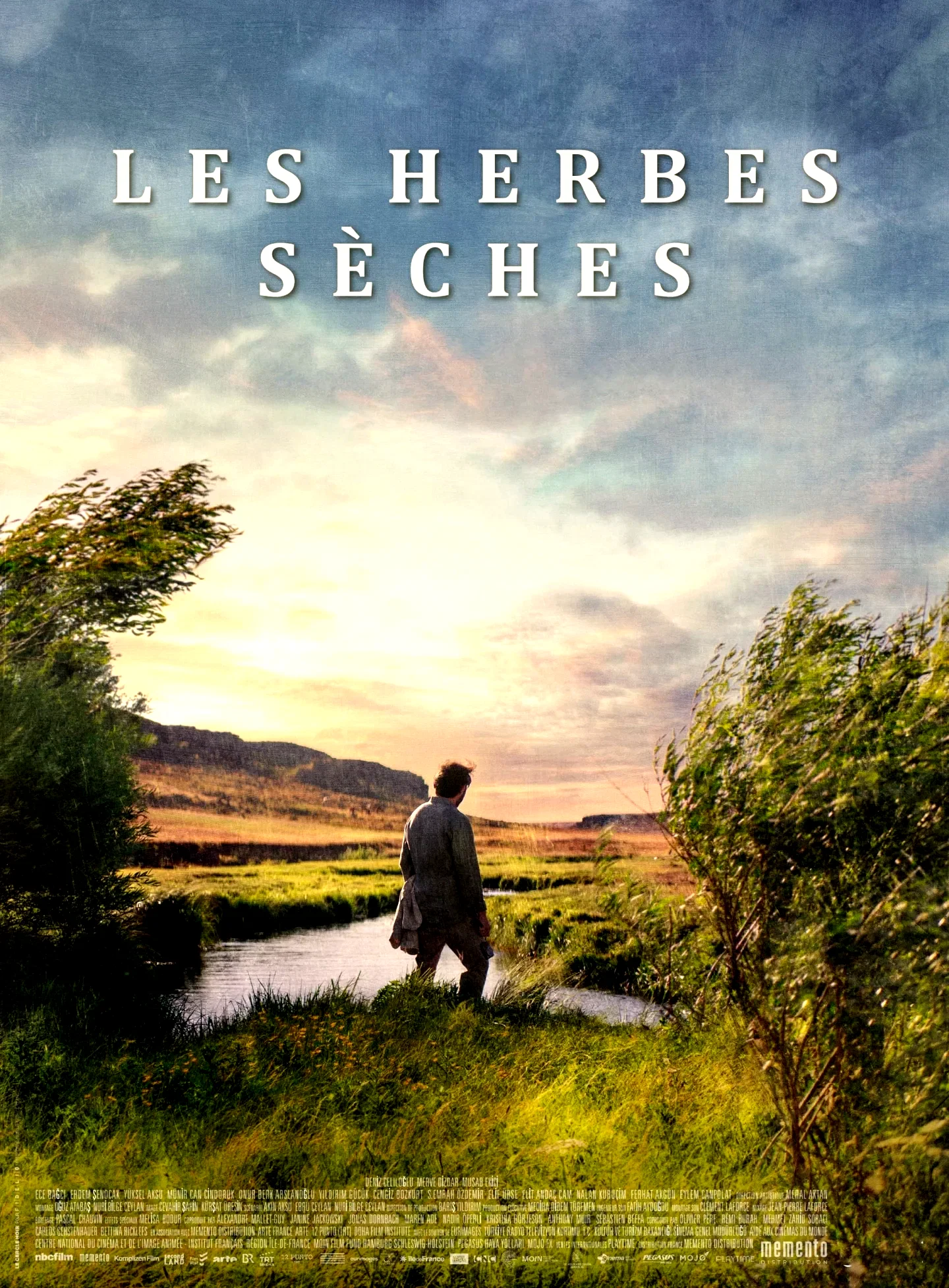 Affiche du film : Les Herbes sèches