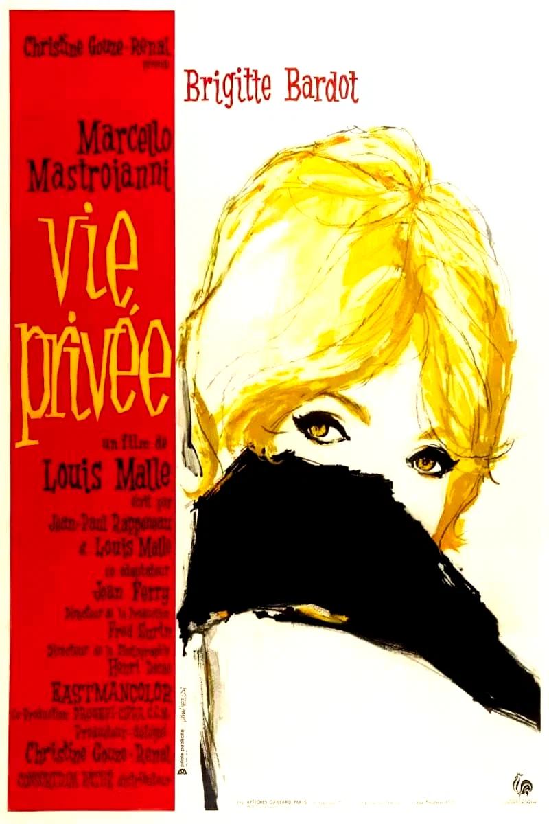 Affiche du film : Vie privée