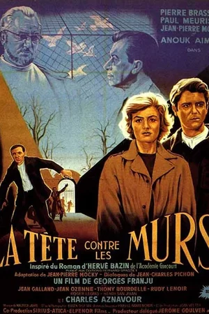 Photo 3 du film : La tete contre les murs