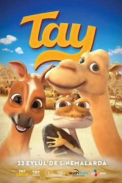 Affiche du film = Tay