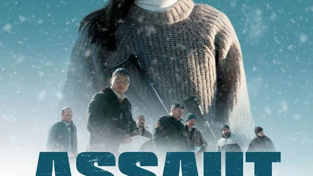 Affiche du film : Assaut