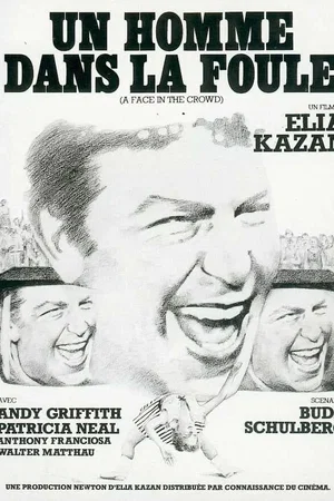 Affiche du film : Un homme dans la foule