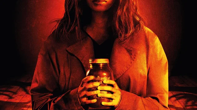 Affiche du film : Inside