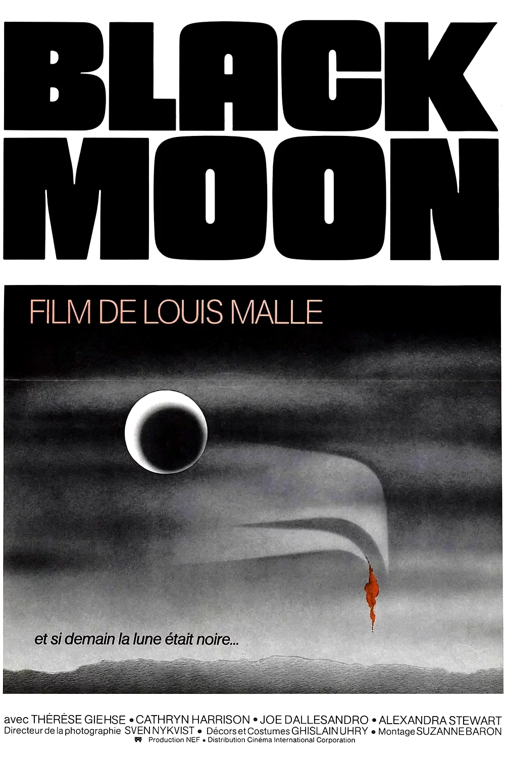 Affiche du film : Black moon