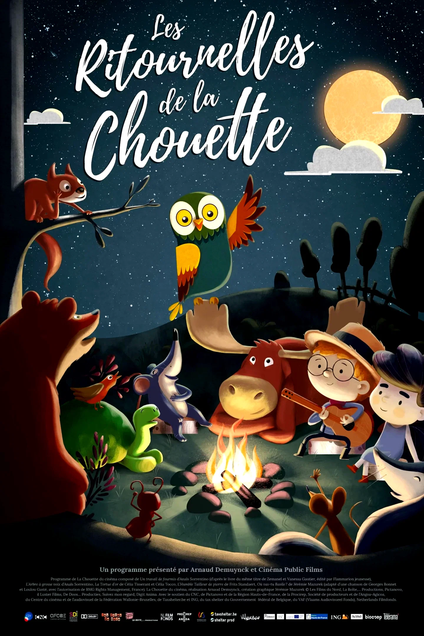 Affiche du film : Les Ritournelles de la chouette