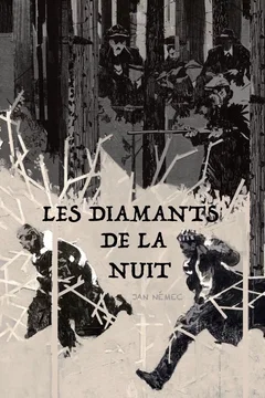 Affiche du film = Les Diamants de la Nuit