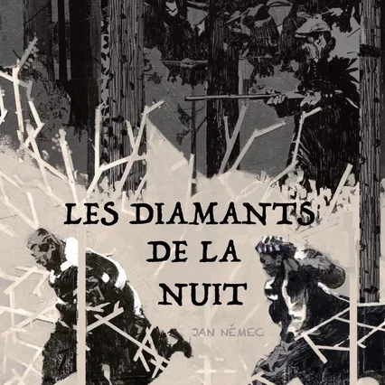 Miniature photo du film : Les Diamants de la Nuit