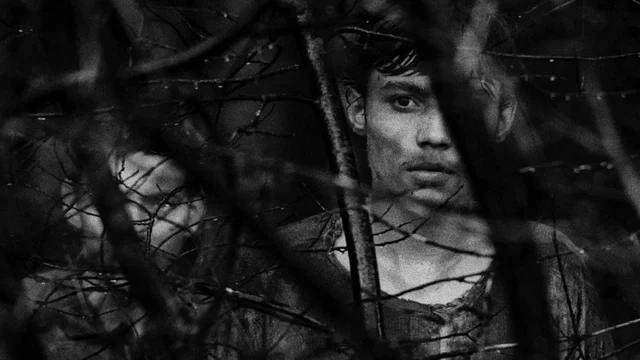 Photo 2 du film : Les Diamants de la Nuit