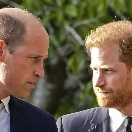 Miniature photo du film : Harry vs William – Querelle royale