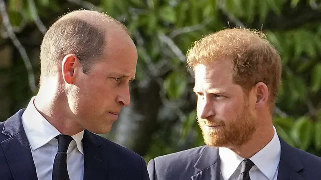Photo 1 du film : Harry vs William – Querelle royale