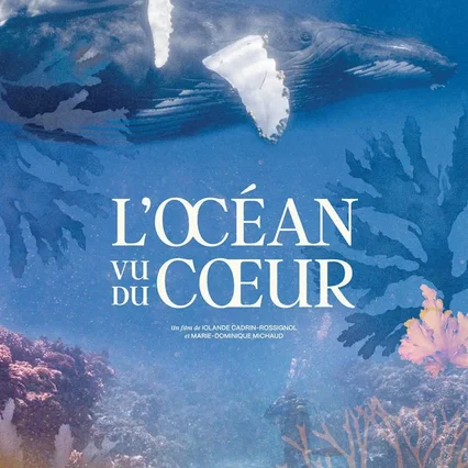 Miniature photo du film : L'Océan vu du coeur