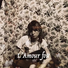 Photo du film : L'amour fou