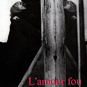 Photo du film : L'amour fou