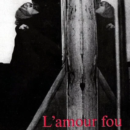 Miniature photo du film : L'amour fou