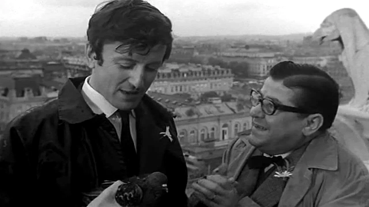 Photo 3 du film : Les compagnons de la marguerite