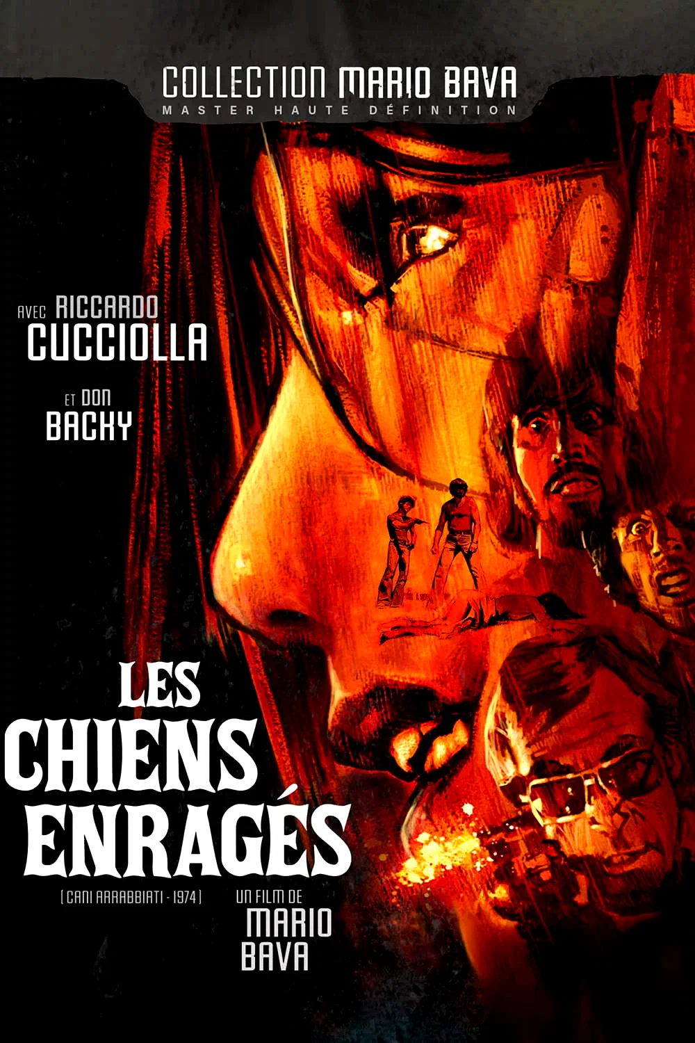 Affiche du film : Les chiens enragés