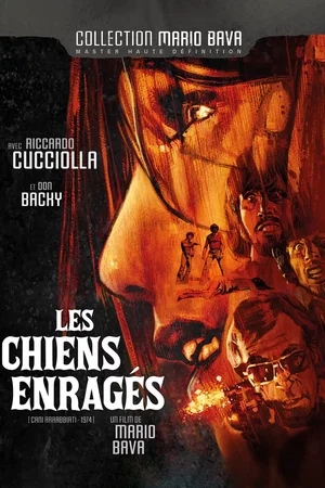 Affiche du film : Les chiens enragés