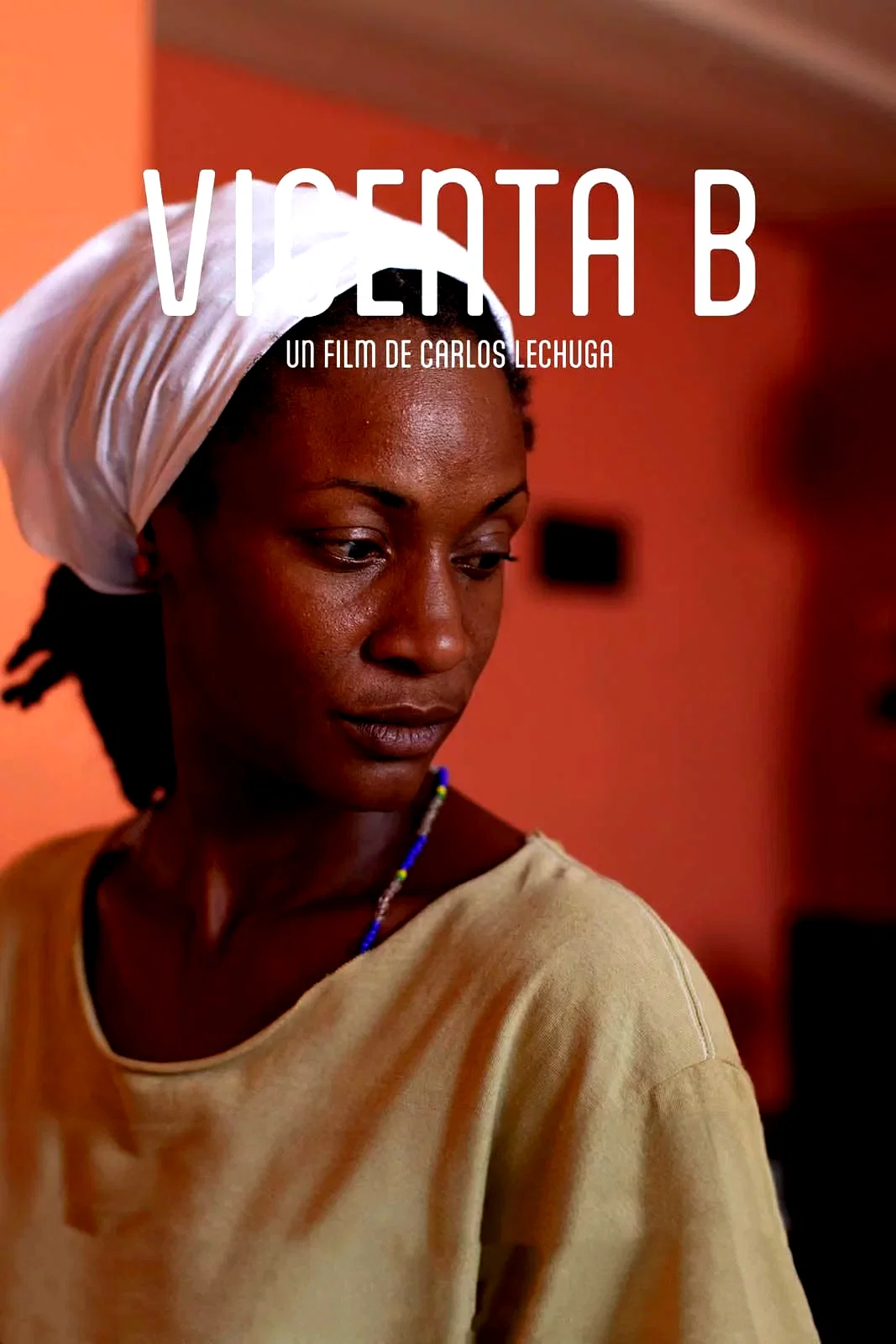 Affiche du film : Vicenta B.