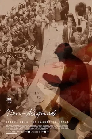 Affiche du film : Non alignés - Scènes des archives Labudović