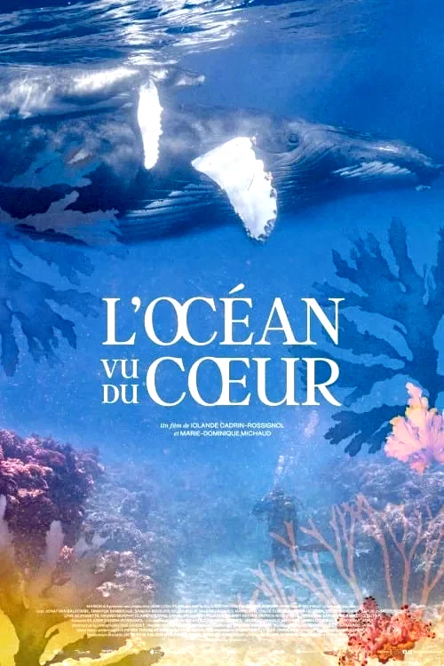 Affiche du film : L'Océan vu du coeur