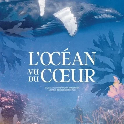 Miniature photo du film : L'Océan vu du coeur