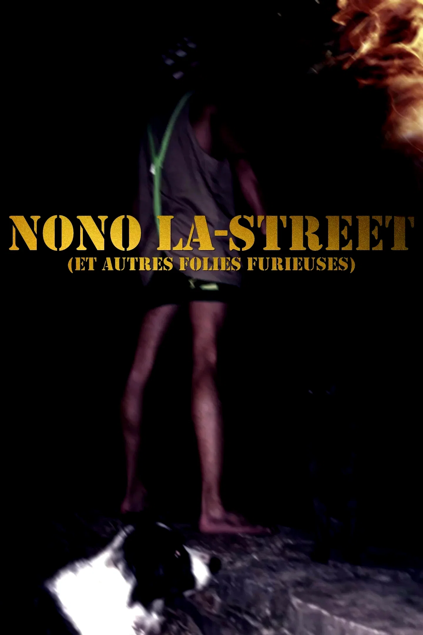 Affiche du film : Nono La-Street (et autres folies furieuses)