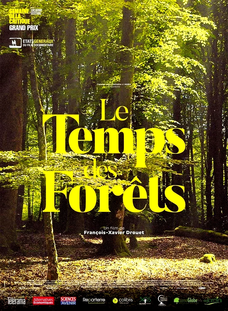 Affiche du film : Le Temps des forêts