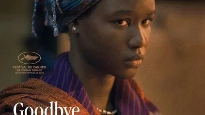 Affiche du film : Goodbye Julia