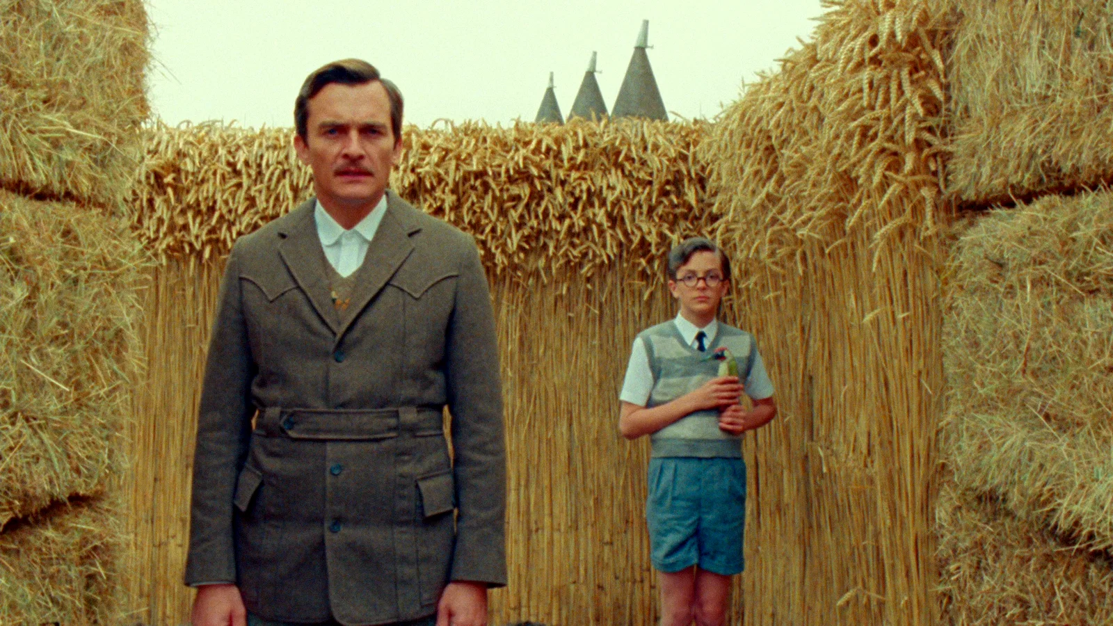 Photo du film : Le Cygne
