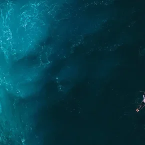 Photo du film : La vague perdue