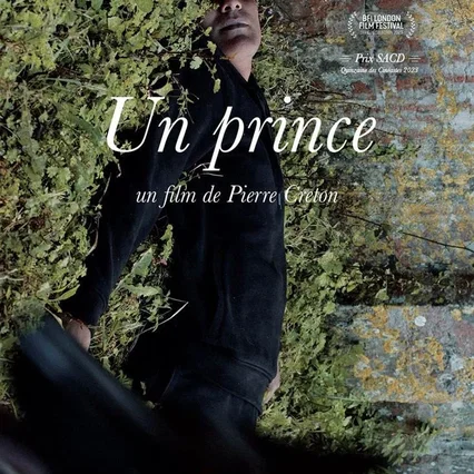 Miniature photo du film : Un prince