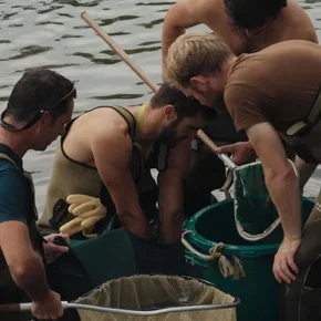 Photo du film : La rivière