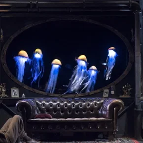 Photo du film : 20 000 lieues sous les mers (Comédie Française)