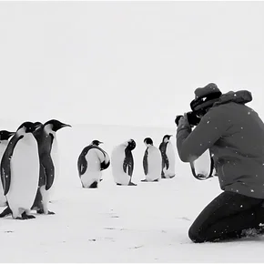 Photo du film : Voyage au pôle sud