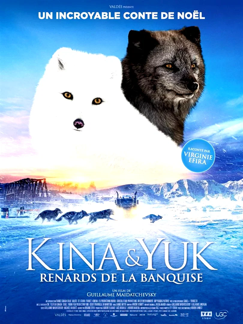 Affiche du film : Kina & Yuk : renards de la banquise